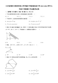 江苏省南京市南京师范大学附属中学新城初级中学2023-2024学年七年级下学期期中数学试题（原卷版+解析版）