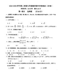 广东省广州市白云华附中学2023-2024学年七年级下学期期中数学试题