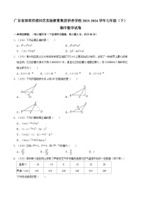 广东省深圳市福田区实验教育集团侨香学校2023-2024学年七年级下学期期中考试数学试卷