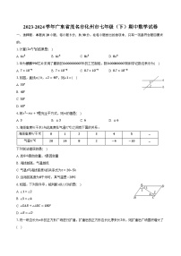 2023-2024学年广东省茂名市化州市七年级（下）期中数学试卷（含解析）