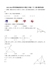 2023-2024学年河南省郑州市中原区八年级（下）期中数学试卷（含解析）