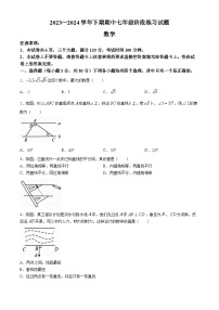 河南省周口市西华县2023-2024学年七年级下学期4月期中数学试题(无答案)