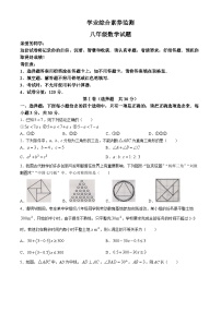 山东省枣庄市薛城区2023-2024学年八年级下学期期中数学试题