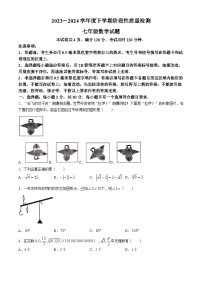 山东省临沂市郯城县2023-2024学年七年级下学期期中考试数学试题