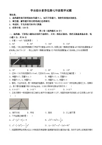 山东省枣庄市薛城区2023-2024学年七年级下学期期中数学试题