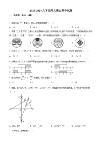 广东省深圳市北京师范大学南山附属学校2023-2024学年八年级下学期期中数学试题（原卷版+解析版）