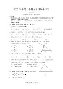 2024年奉贤区初三数学一模卷