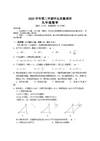 2024崇明区中考数学二模卷