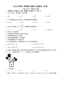 广东省广州市番禺区金海岸实验学校2023-2024学年八年级下学期期中数学试题(无答案)