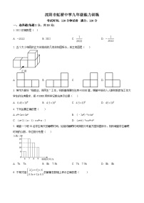 2023年辽宁省沈阳市虹桥初级中学九年级中考数学模拟预测题（原卷版+解析版）