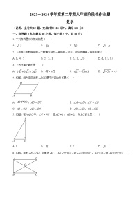 广东省潮州市2023-2024学年八年级下学期期中数学试题（原卷版+解析版）