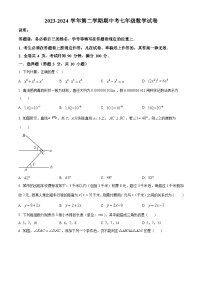 广东省深圳市福田区外国语学校2023-2024学年七年级下学期期中数学试题（原卷版+解析版）