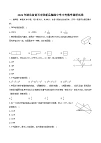 2024年湖北省黄石市阳新县陶港中学中考数学调研试卷（含解析）