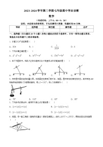 山西省太原市2023-2024学年七年级下学期期中数学试题