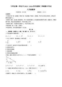 天津市宁河区第一学片2023-2024学年八年级下学期期中数学试题