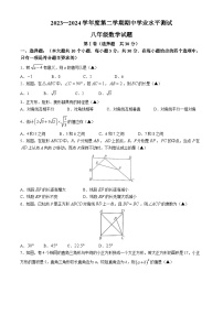 山东省济宁市嘉祥县2023-2024学年八年级下学期期中数学试题