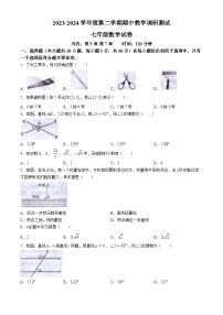 广东省湛江市徐闻县2023-2024学年七年级下学期期中数学试题