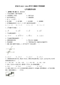 河南省三门峡市灵宝市2023-2024学年七年级下学期期中数学试题