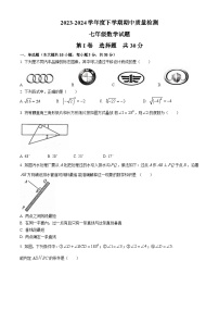 山东省临沂市莒南县2023-2024学年七年级下学期期中数学试题