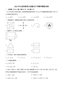 2023年山东省青岛市高新区中考数学模拟预测题（原卷版+解析版）