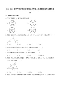 2020-2021学年广东省阳江市阳东区八年级上学期期中数学试题及答案