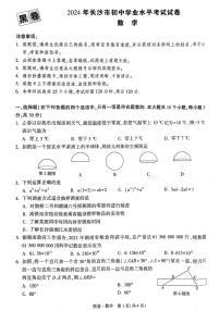 年长沙市初中学业水平考试试卷数学黑卷及解析