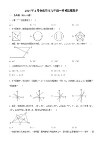 2024年陕西省咸阳市九年级中考一模数学试题（原卷版+解析版）