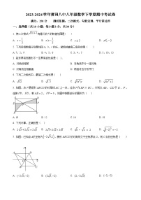 福建省莆田市荔城区莆田第八中学2023-2024学年八年级下学期期中数学试题（原卷版+解析版）