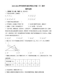 广东省深圳市深圳外国语学校2023-2024学年七年级下学期期中数学试题（原卷版+解析版）