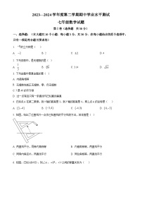 山东省济宁市嘉祥县2023-2024学年七年级下学期期中数学试题（原卷版+解析版）