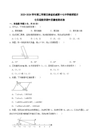 甘肃省武威市凉州区武威第十七中学教研联片2023-2024学年七年级下学期4月期中考试数学试题