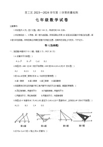 河南省洛阳市西工区2023-2024学年七年级下学期期中考试数学试卷+