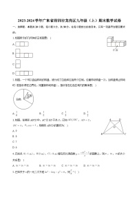 +广东省深圳市龙岗区2023-2024学年九年级上学期期末数学试卷+