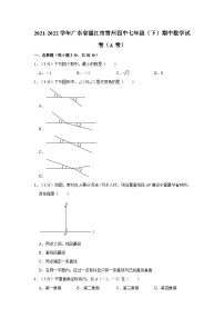 +广东省湛江市雷州市第四中学2021-2022学年七年级下学期期中数学试卷（A卷）+