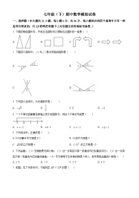 +广西壮族自治区南宁市天桃实验学校2023-2024学年七年级下学期期中数学模拟试题+