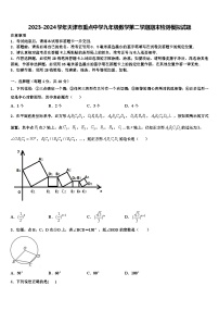 2023-2024学年天津市重点中学九年级数学第二学期期末检测模拟试题