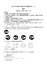 2024年广西河池市宜州区九年级中考一模数学试题