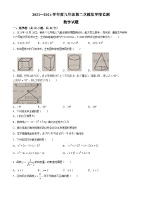2024年山东省济宁市金乡县中考二模数学试题+