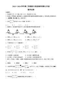 河南省洛阳市伊川县2023-2024学年七年级下学期期中数学试题(无答案)