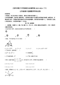 天津市滨海新区南开中学滨海生态城学校2023-2024学年七年级下学期期中数学试题(无答案)