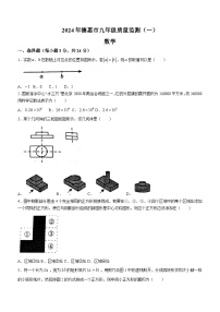 吉林省长春市德惠市2024学年九年级第一次模拟考试数学模拟试题