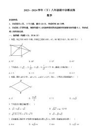 河南省焦作市2023-2024学年八年级下学期期中数学试题（原卷版+解析版）