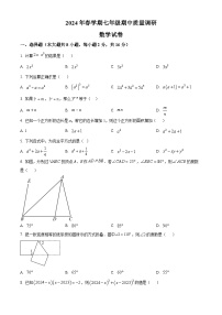 江苏省常州市金坛区2023-2024学年七年级下学期期中数学试题（原卷版+解析版）