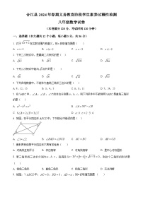 四川省泸州市合江县2023-2024学年八年级下学期期中考试数学试题（原卷版+解析版）