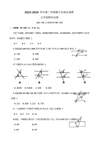 河南省洛阳市西工区2023-2024学年七年级下学期期中考试数学试卷