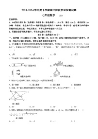 山东省临沂市兰山区2023-2024学年七年级下学期期中数学试题