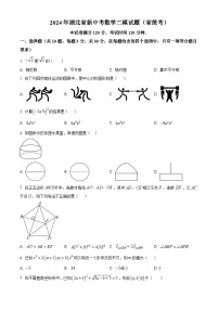 2024年湖北省新中考二模数学试题（省统考）（原卷版+解析版）