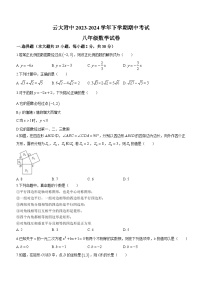 云南省昆明市五华区云南大学附属中学2023-2024学年八年级下学期期中数学试题(无答案)