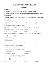 河南省漯河市临颍县2023-2024学年八年级下学期期中考试数学试题（原卷版+解析版）