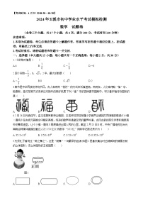 2024年云南省玉溪市九年级初中学业水平考试模拟检测数学试题